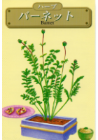 サラダバーネット