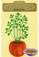 イタリアンパセリ