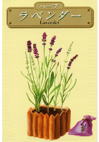 ラベンダー