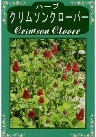 クリムソンクローバー