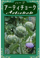 アーティチョーク