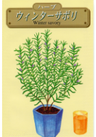 ウインターサボり