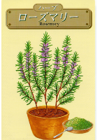 ローズマリー