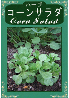 コーンサラダ