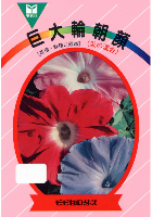 巨大輪朝顔(花色混合)