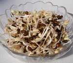 ブラックマッペ