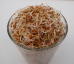 アルファルファ