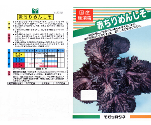 赤ちりめんしそ解説