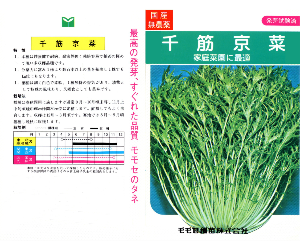 千筋京水菜解説