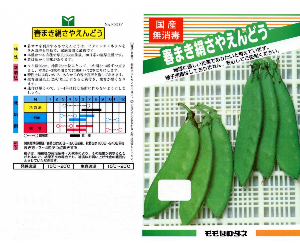 春まき絹莢豌豆解説
