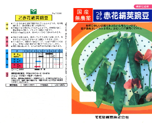 つるなし赤花絹莢豌豆解説