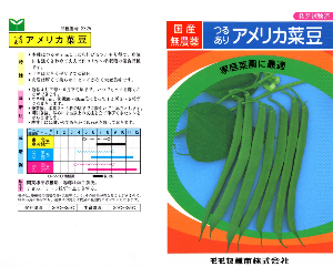 アメリカ菜豆解説