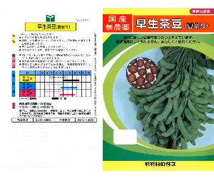 早生茶豆解説