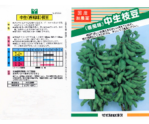 中生枝豆解説