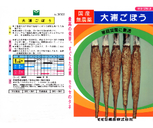 大浦ごぼう解説