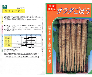 サラダごぼう解説