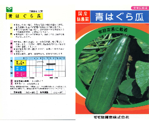 青はぐら瓜解説