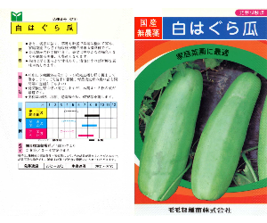 白はぐら瓜解説
