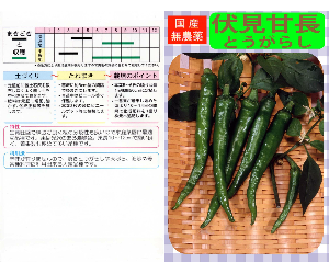 伏見甘長とうがらし解説