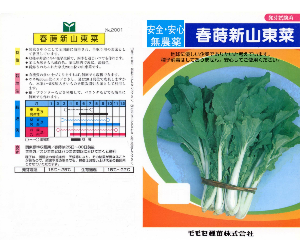 春蒔新山東菜解説