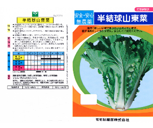 半結球山東菜解説