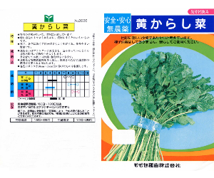 黄からし菜解説