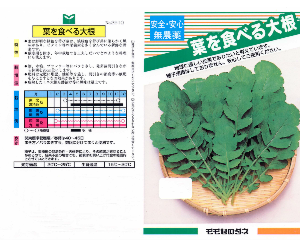 葉を食べる大根(海外産)解説