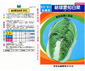 愛知白菜解説