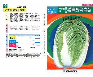 松島五号白菜解説
