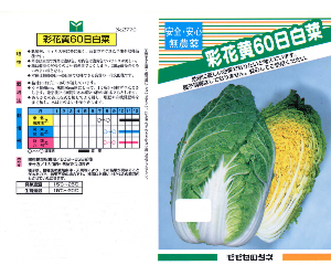 彩花黄60日白菜解説