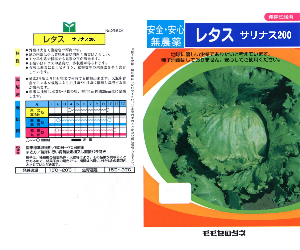 レタス解説