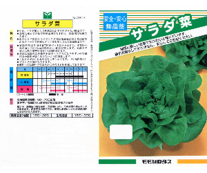 サラダ菜解説