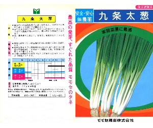 九条太ねぎ解説