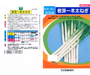 根深一本ねぎ解説