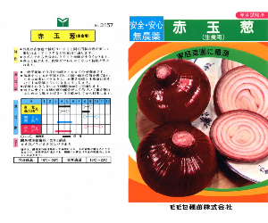 赤玉葱解説