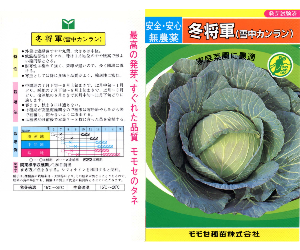 冬将軍(雪中かんらん)解説