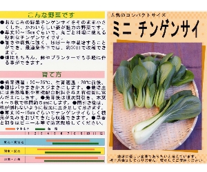 ミニチンゲンサイ解説