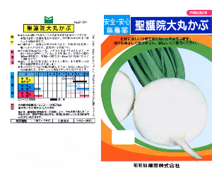 聖護院大丸かぶ解説