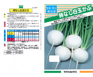 時なし白玉かぶ解説