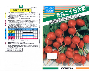 赤丸二十日大根解説