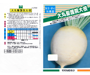 大丸聖護院大根解説