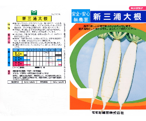 新三浦大根解説