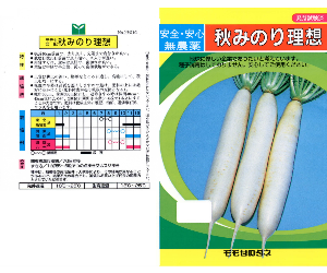 秋みのり理想大根解説