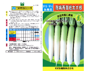 耐病青首総太大根解説