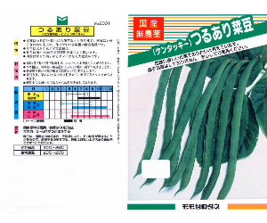 つるあり菜豆(ケンタッキー)解説