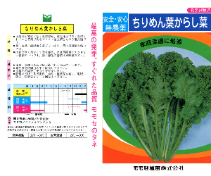 ちりめん葉からし菜解説