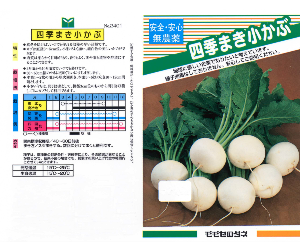 四季まき小かぶ解説