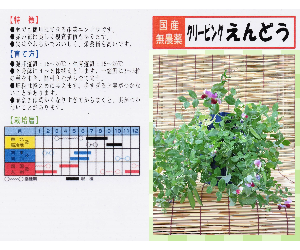 クリーピングえんどう解説