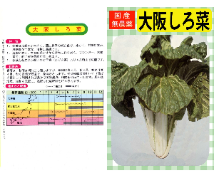 大阪しろ菜解説