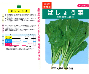 ばしょう菜解説